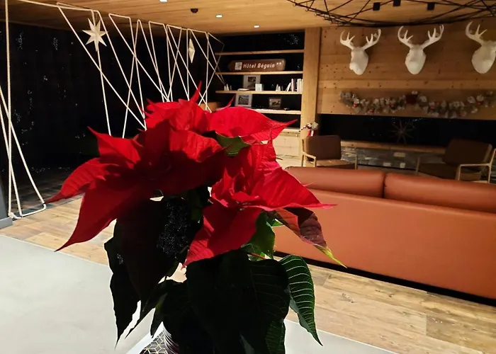 Le Ridge - Ridge 504 Mae-4821 Les Arcs (Savoie)